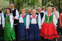 Festiwal-Węgry-Gyomaendrőd-11