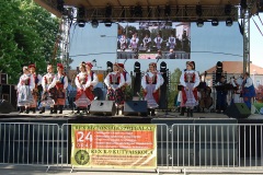 Festiwal-Węgry-Gyomaendrőd-28