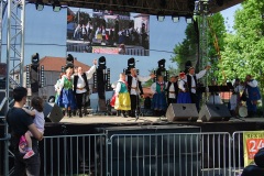 Festiwal-Węgry-Gyomaendrőd-29