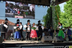 Festiwal-Węgry-Gyomaendrőd-30