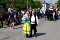 Festiwal-Węgry-Gyomaendrőd-56