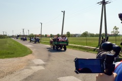 Festiwal-Węgry-Gyomaendrőd-61