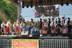 Festiwal-Węgry-Gyomaendrőd-27