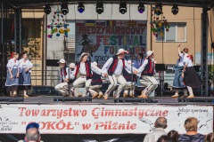 Międzyn.-Festiwal-Folkloru-Pilzno-108