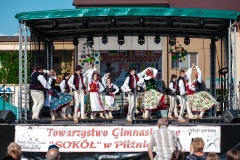 Międzyn.-Festiwal-Folkloru-Pilzno-157