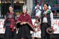 Międzyn.-Festiwal-Folkloru-Pilzno-32