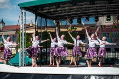 Międzyn.-Festiwal-Folkloru-Pilzno-94