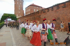 Rocznica-Sokolstwa-Kraków-2012-79