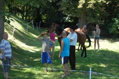 Swięto-Rodziny-2012-64